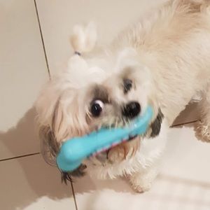 Meet your Posher, Camilo